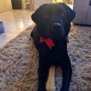 Meet your Posher, Catherine